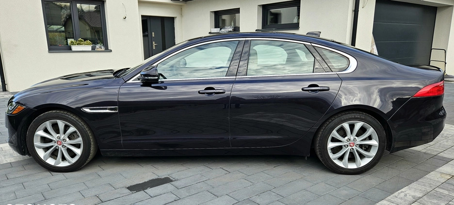 Jaguar XF cena 82900 przebieg: 53500, rok produkcji 2016 z Łódź małe 92